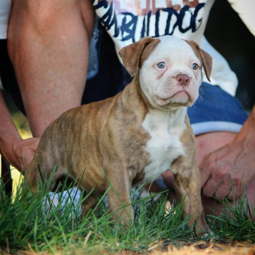 WhatsApp Image 2026-01-15 at 17.39.5666