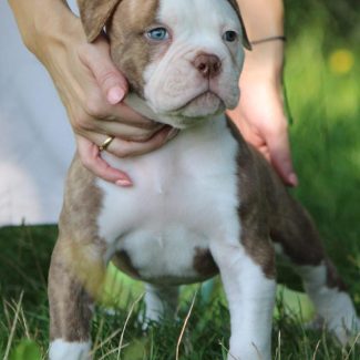 WhatsApp Image 2026-01-15 at 17.40.23