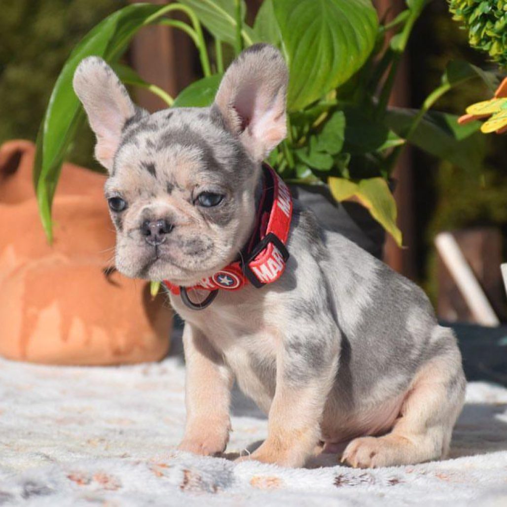 WhatsApp Image 2026-01-23 at 02.34.56