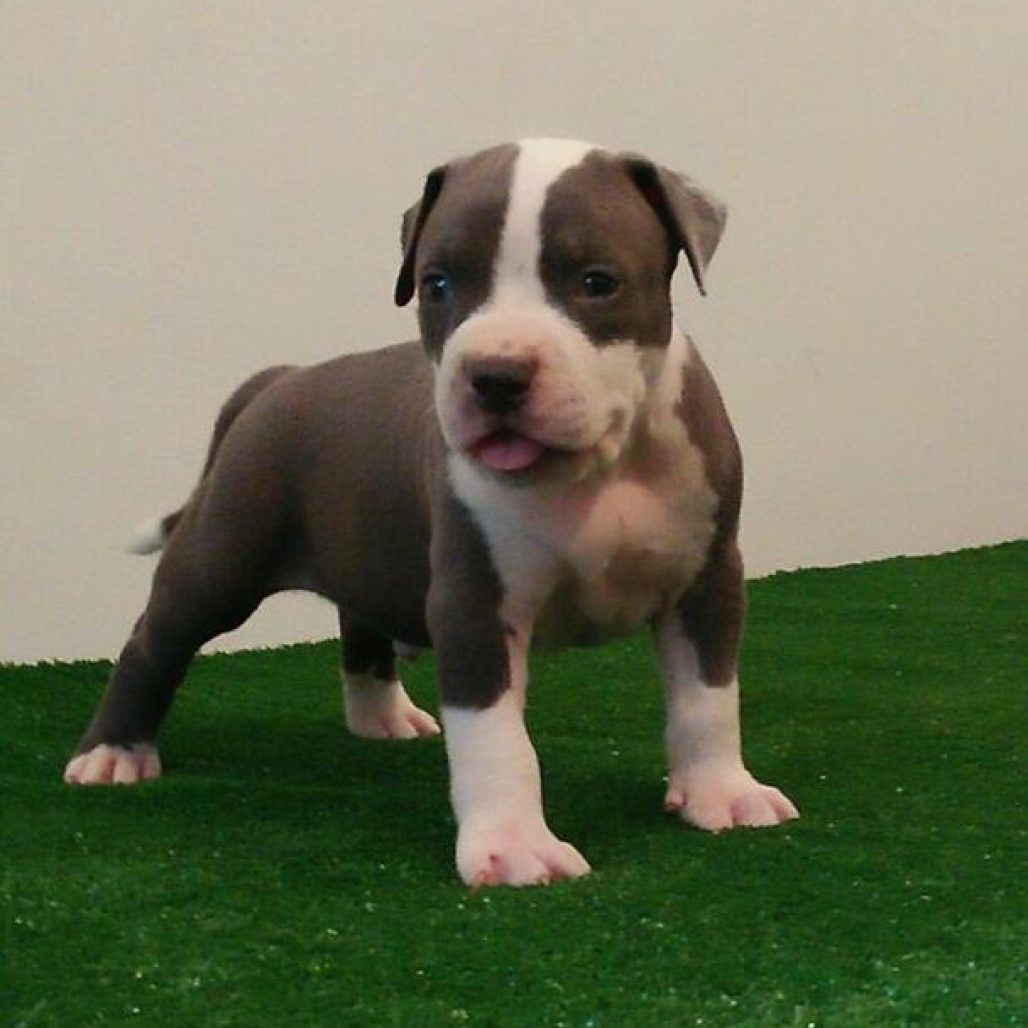 WhatsApp Image 2026-01-23 at 02.35.45