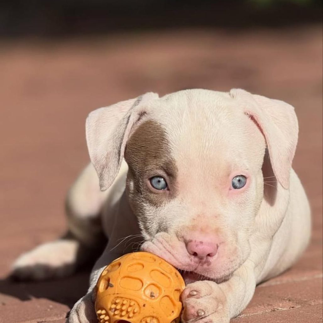 WhatsApp Image 2026-01-23 at 02.36.17