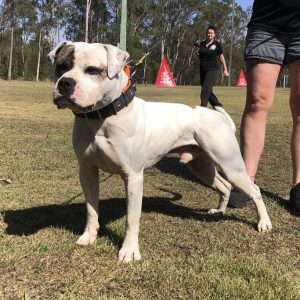 kagfkgfkjgfkjdjdgfkjdmbvmbmv